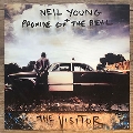 The Visitor